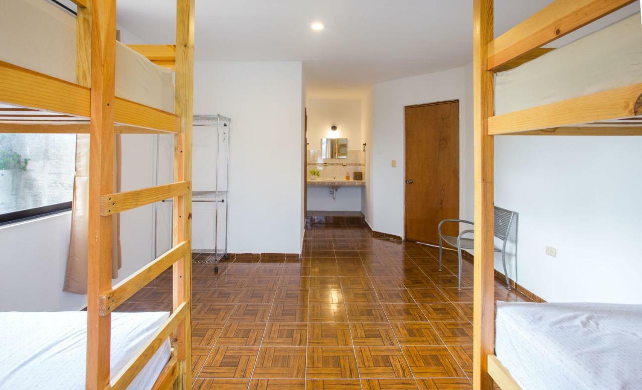 Casa Flamingo Daire Valladolid  Dış mekan fotoğraf