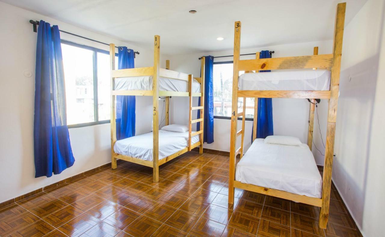 Casa Flamingo Daire Valladolid  Dış mekan fotoğraf