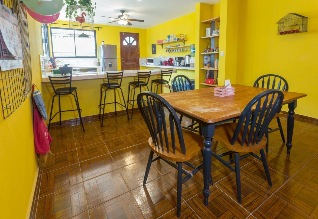 Casa Flamingo Daire Valladolid  Dış mekan fotoğraf
